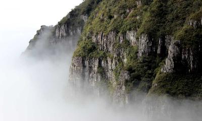 捕鱼游戏